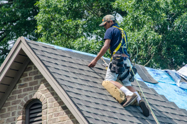 Best Emergency Roof Repair  in Brownsville, LA
